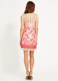 Женственное и романтичное платье с розовым кружевом Chloe