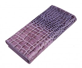Кошелек Z2770-2599 purple (Eleganzza)