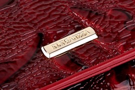 Кошелек ZF3008-2583 bordo (Eleganzza)