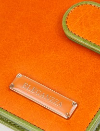 Обложка для документов Z3794-2807 orange/green (Eleganzza)