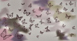 Палантин женские мод+каш 110х205 H15-1514-19 (Eleganzza)