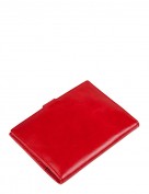 Обложка для документов Z3791-2807 red (Eleganzza)