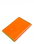 Обложка для документов Z3794-2585 orange/green (Eleganzza)