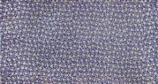 Палантин женские мод+каш 110х205 H15-1504-09 (Eleganzza)